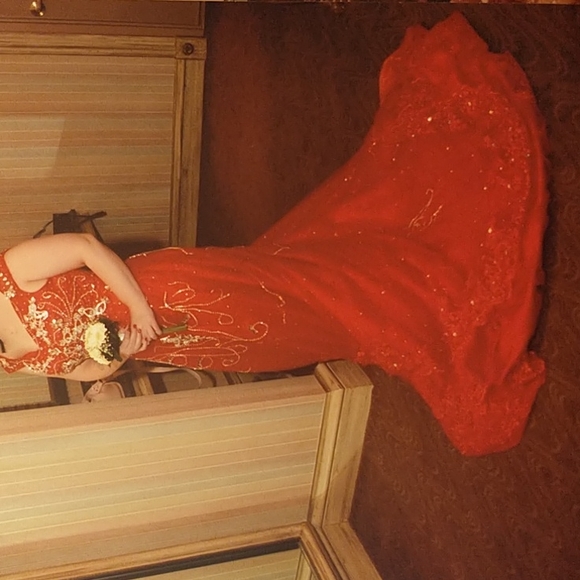 Beautiful Fancy Dress - Picture 5 of 9